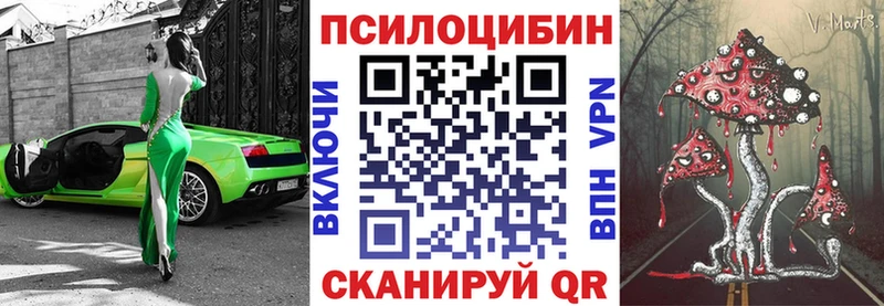 Псилоцибиновые грибы Psilocybine cubensis  Ступино 