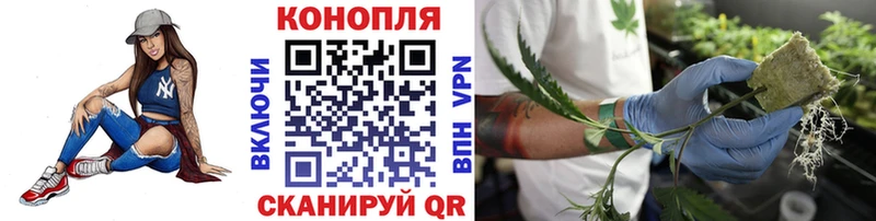 Бошки марихуана Bruce Banner  Ступино 